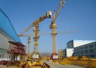 Башенные краны ST6016-8